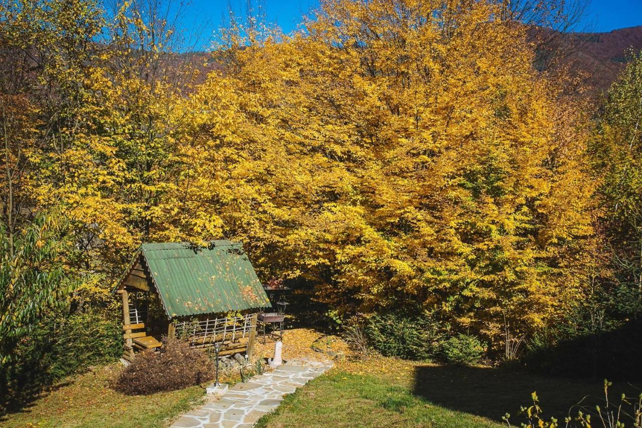 Sadyba Ertash Vyshka Exterior foto